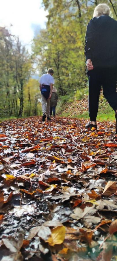 Fewo Traumblick Kreuzwertheim Exteriér fotografie